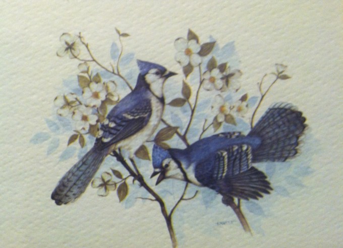 20150606-091400.jpg